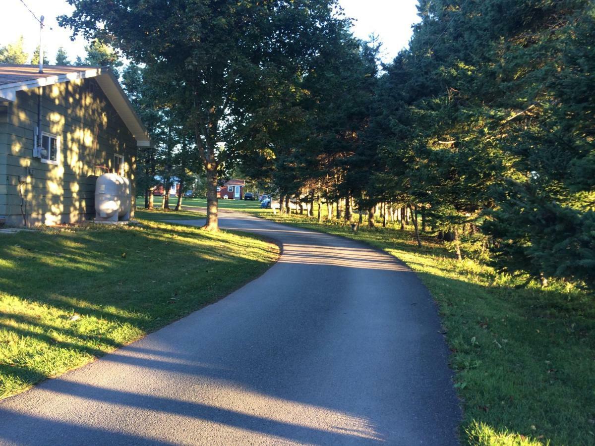 Rachel'S Motel And Cottages Surrey Exteriör bild