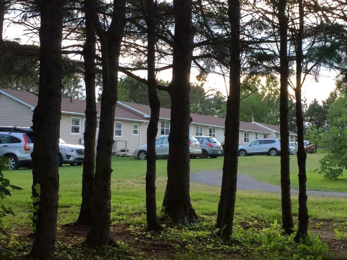 Rachel'S Motel And Cottages Surrey Exteriör bild
